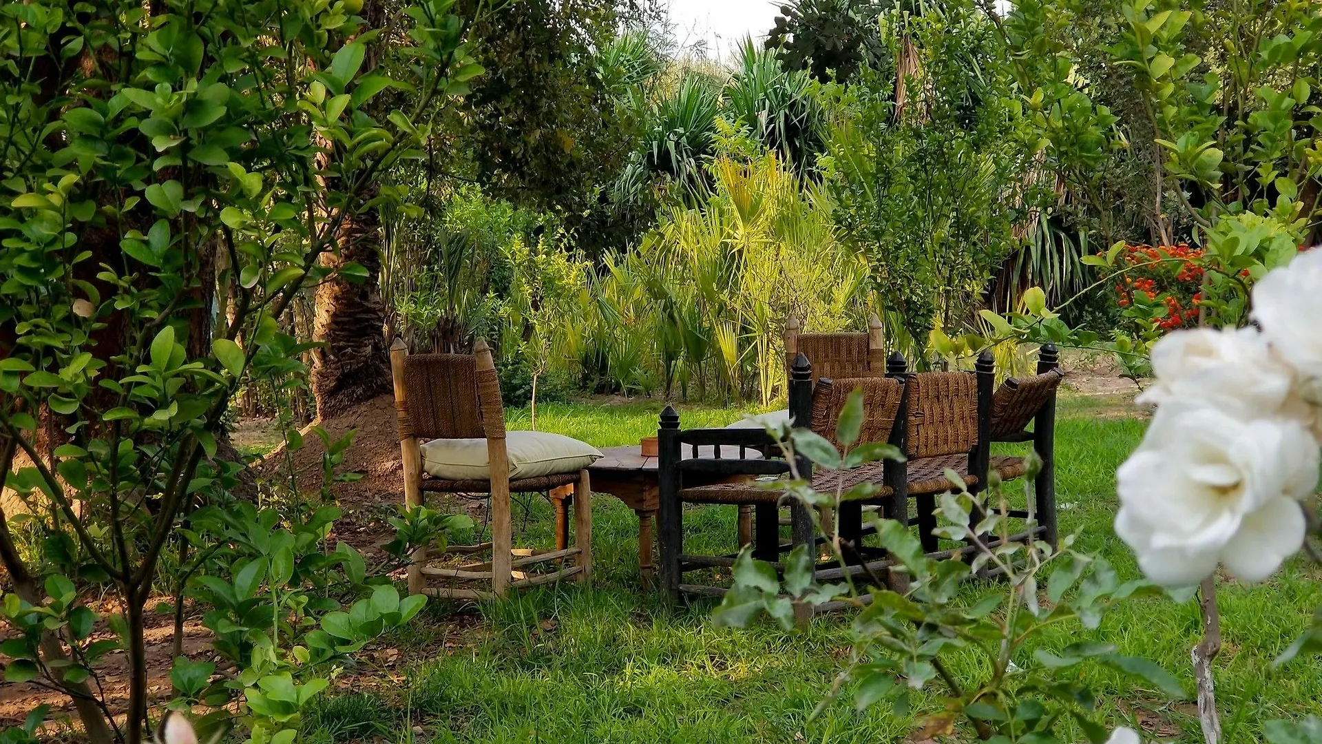 All Green House Marrakesh Morocco