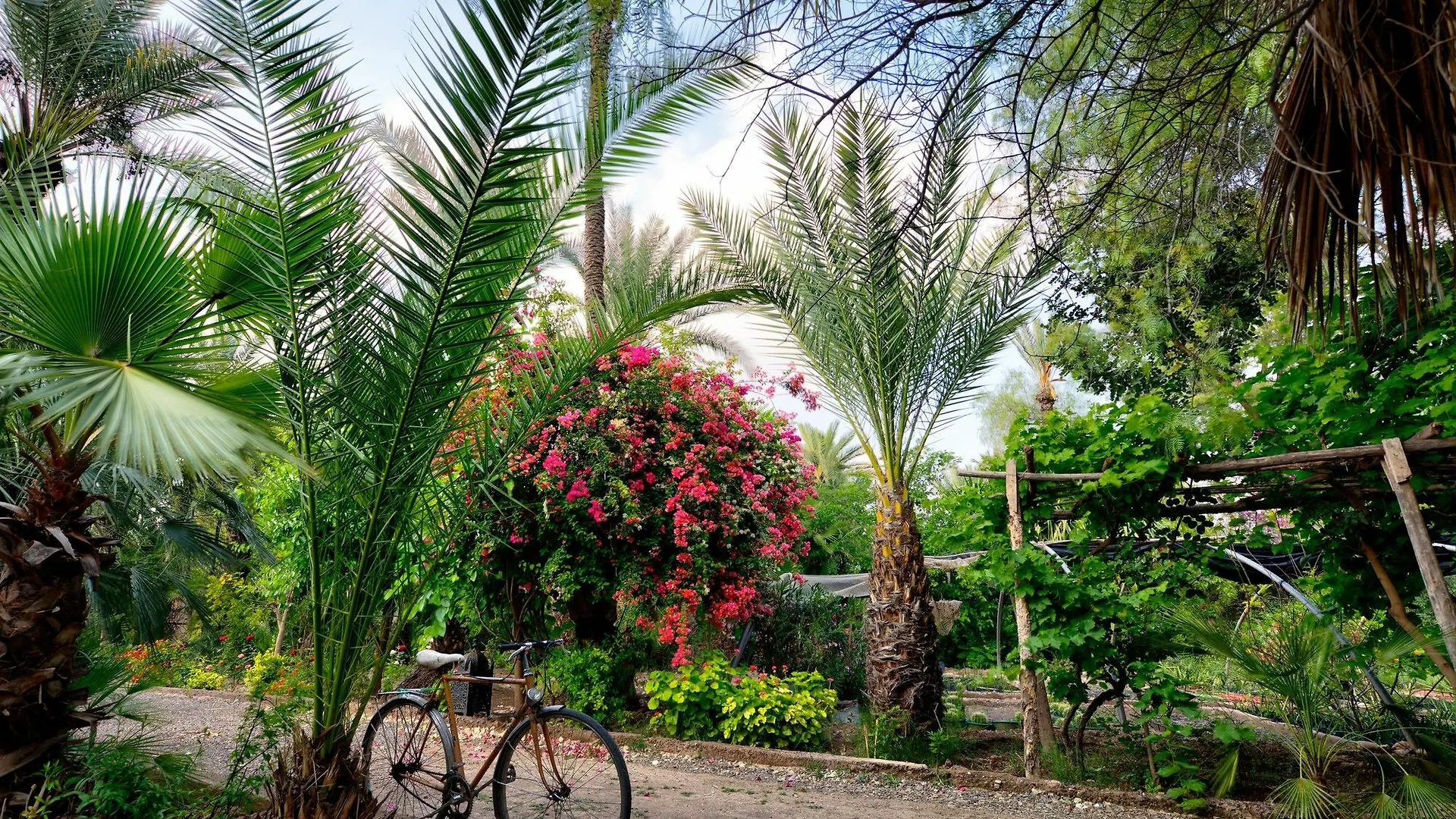 All Green House Marrakesh 3*,  Morocco