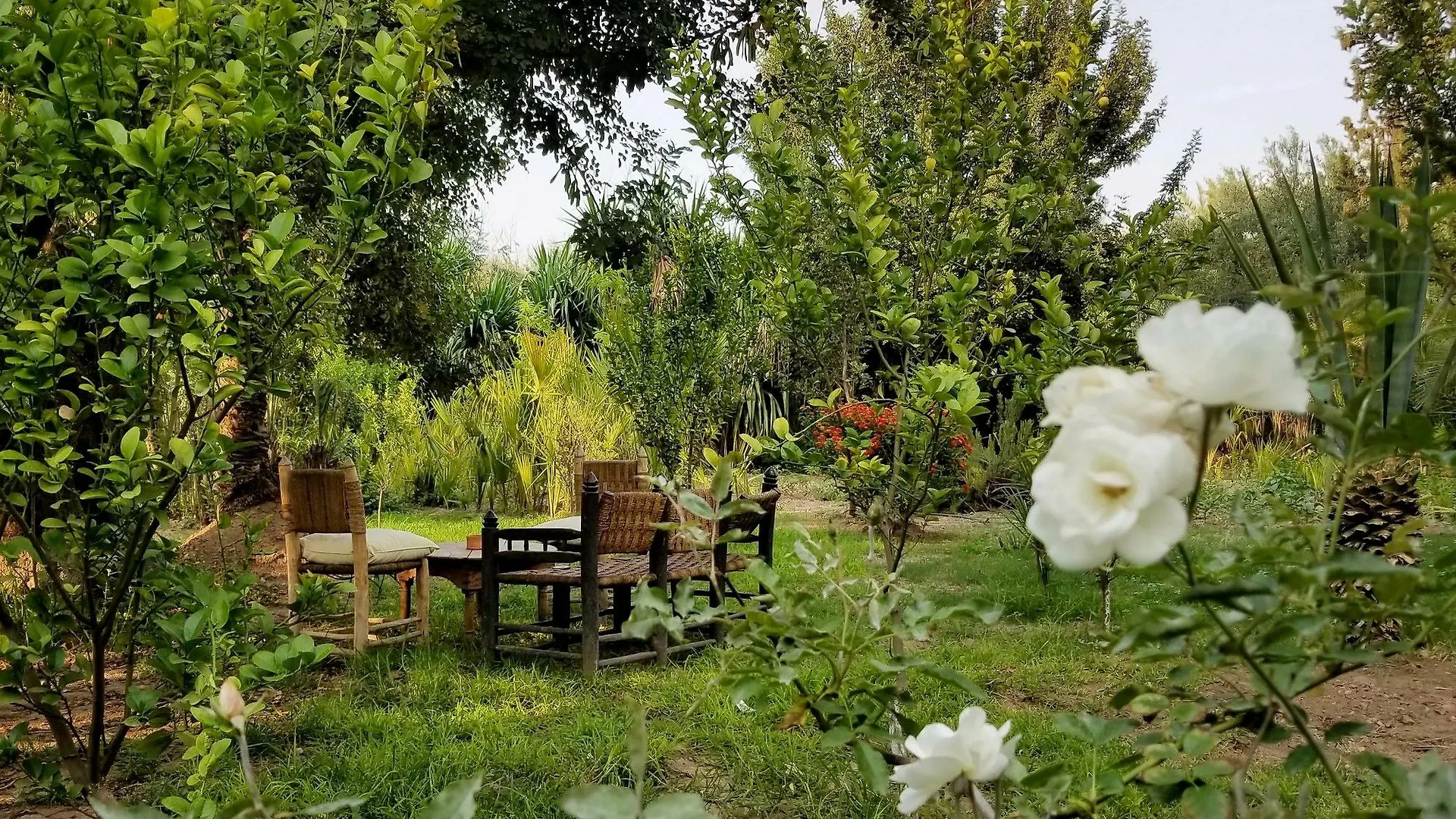 *** Guest house All Green House Marrakesh Morocco