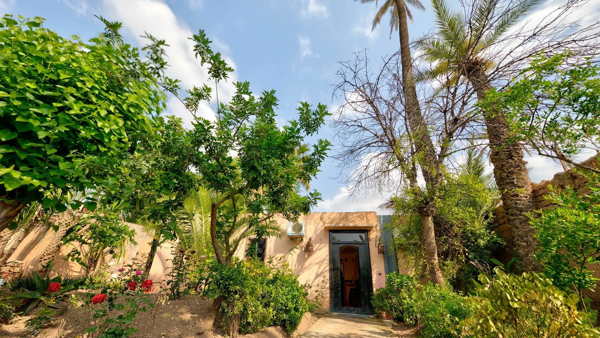 All Green House Marrakesh