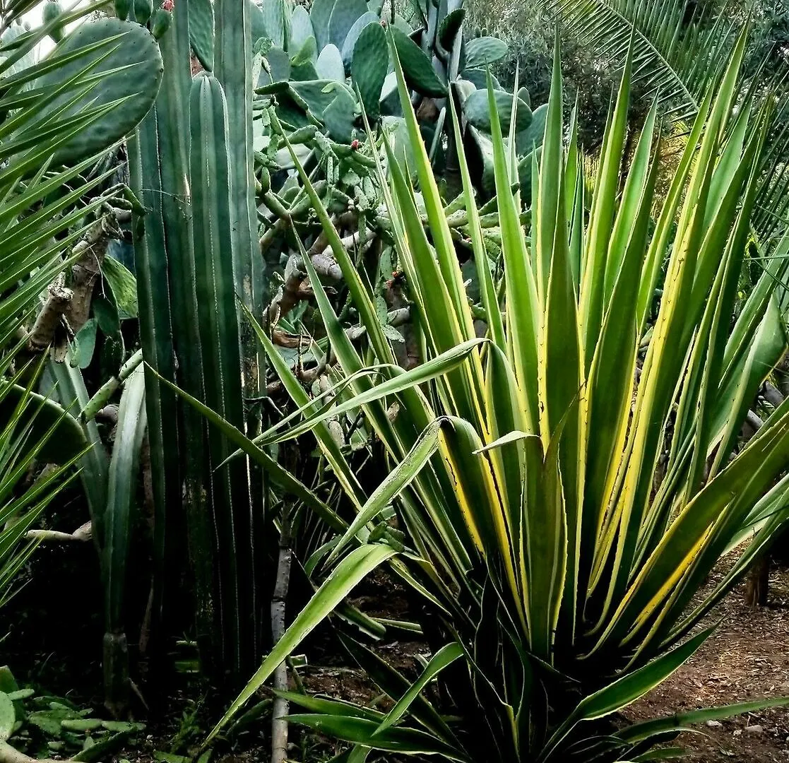 Gasthof All Green House Marrakesch